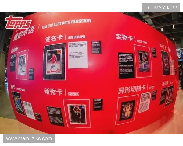 尊龙app手机版下载官方平台,获取最新版本下载安装教程 尊龙app手机版下载官方平台,获取最新版本下载安装教程